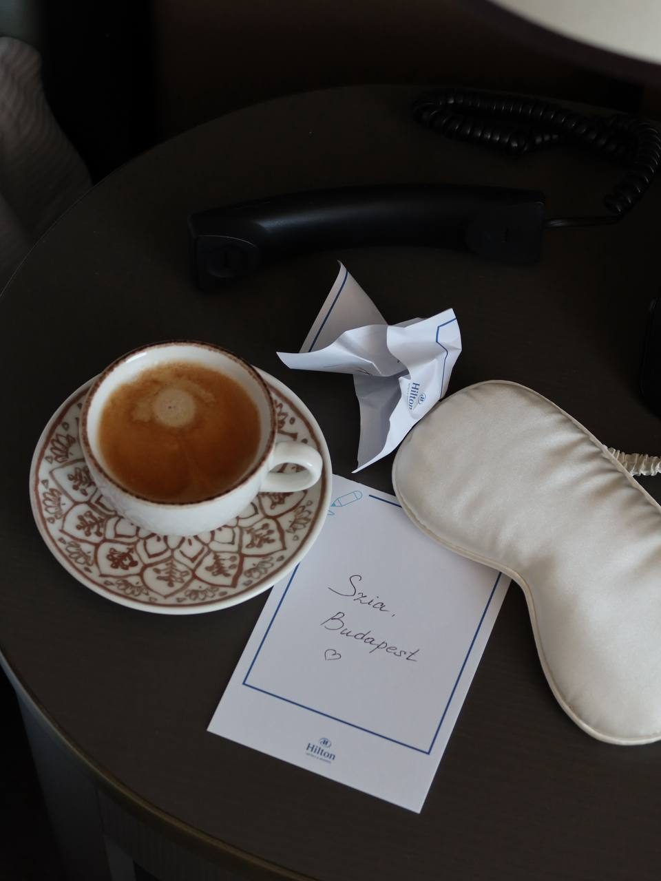 Hilton Budapest — room service with the Fisherman's Bastion at the window, frame 5