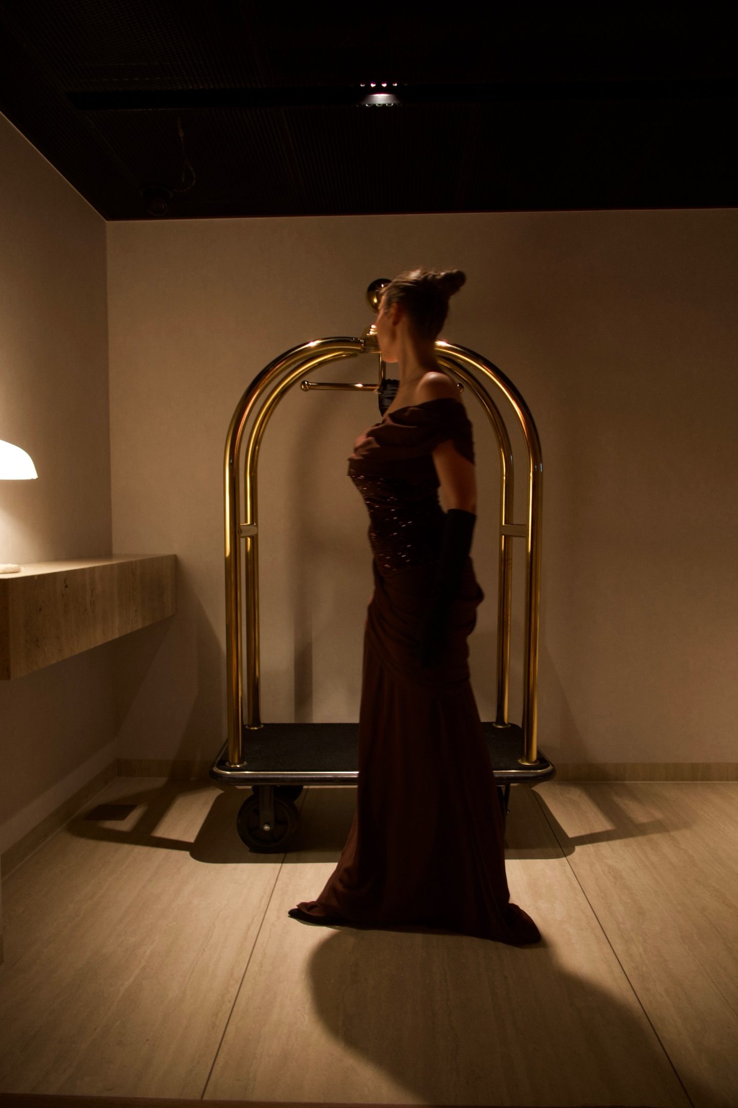 Bella Barnett — brown corset gown, frame 6